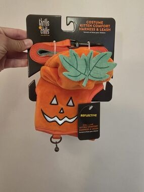Thrills Orange Pumpkin Kitten Harness & Leash Set